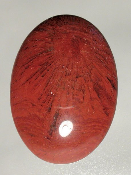Red Horn Coral red horn coral gems fossil coral cabs cabochons Tampa Bay designer gemstones petoskey petosky coral fossil metaphysical new age