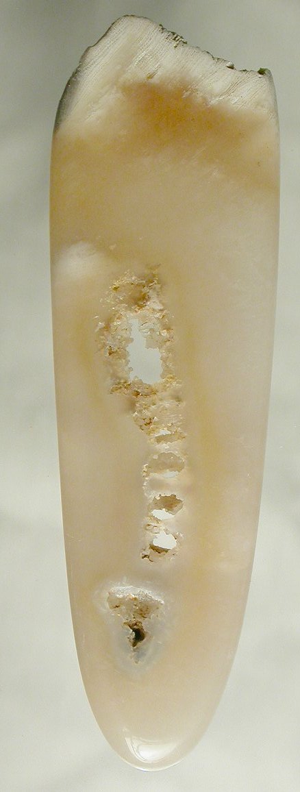 Tampa Bay fossil agatized silicated coral